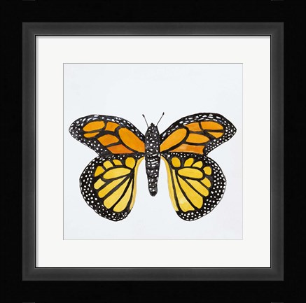 Framed Butterfly Collection Monarch Print
