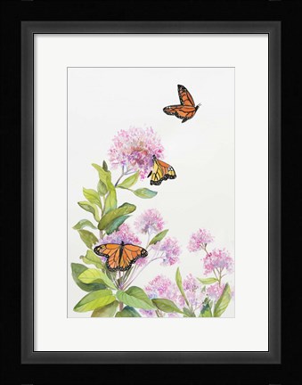 Framed Milkweed and Monarch Butterflies Print