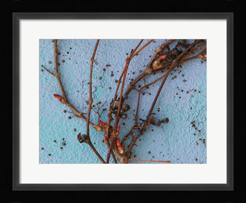 Framed Twig Print