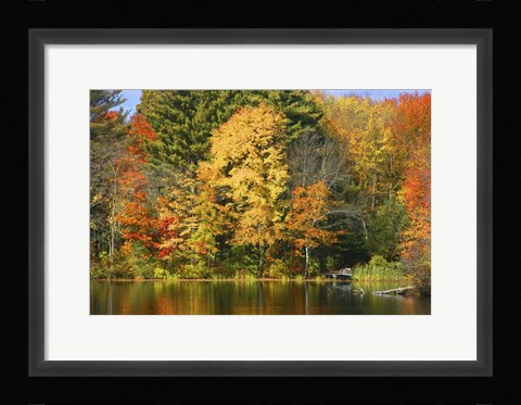 Framed Fall 20 Print
