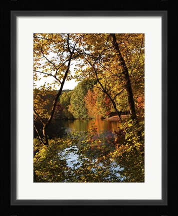 Framed Fall 21 Print