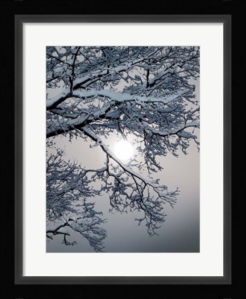 Framed Winter 1 Print