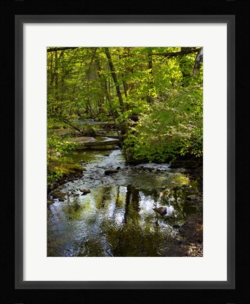 Framed Landscape 38 Print