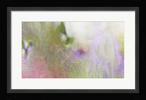 Framed Buttonbush Print