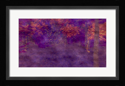 Framed Two Years Max Print