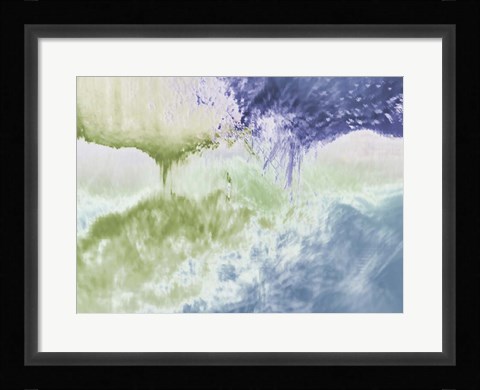 Framed Pine Cone Print