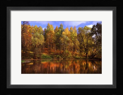 Framed Autumn Reflections Print