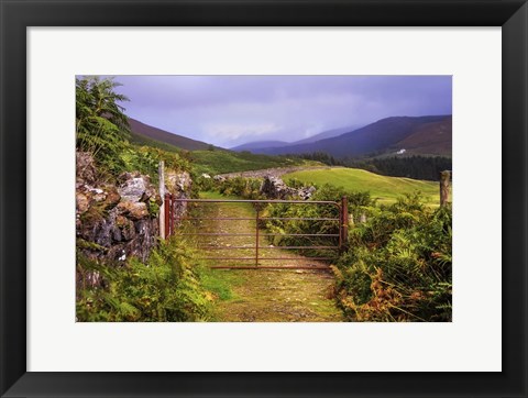 Framed Gates on the Road at Wicklow Hills Ireland Print