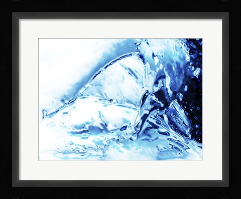 Framed Swan Print