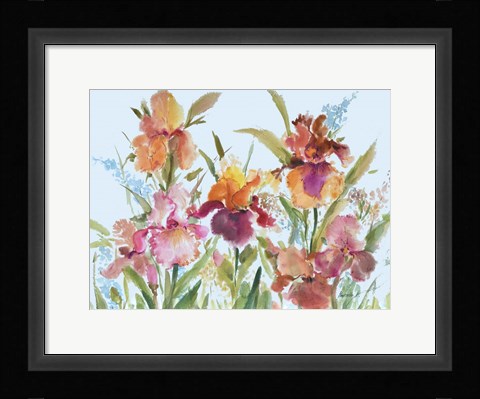 Framed Loose Irises Print