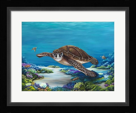 Framed Roaming Reef Print