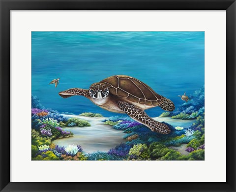 Framed Roaming Reef Print