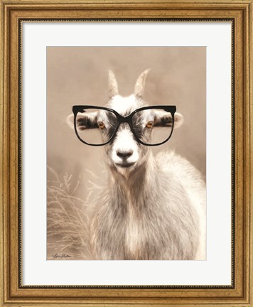Framed See Clearly Goat Print